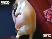 Zoophilia Porn - Lovely playgirl Annalena screwed by doggy